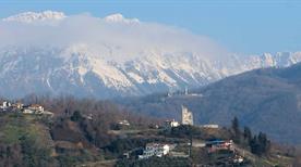 Tarcento