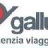 Agenzia Viaggi Gallusi Srl
