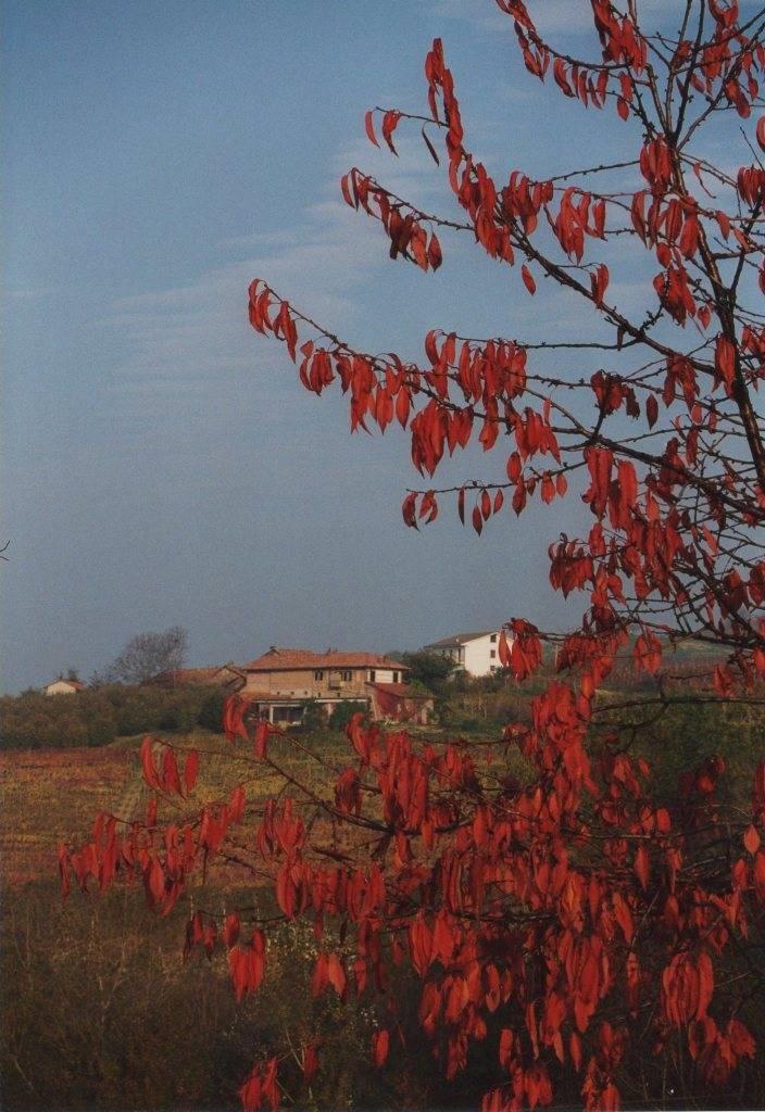 Azienda Agricola Cascina Gramolere