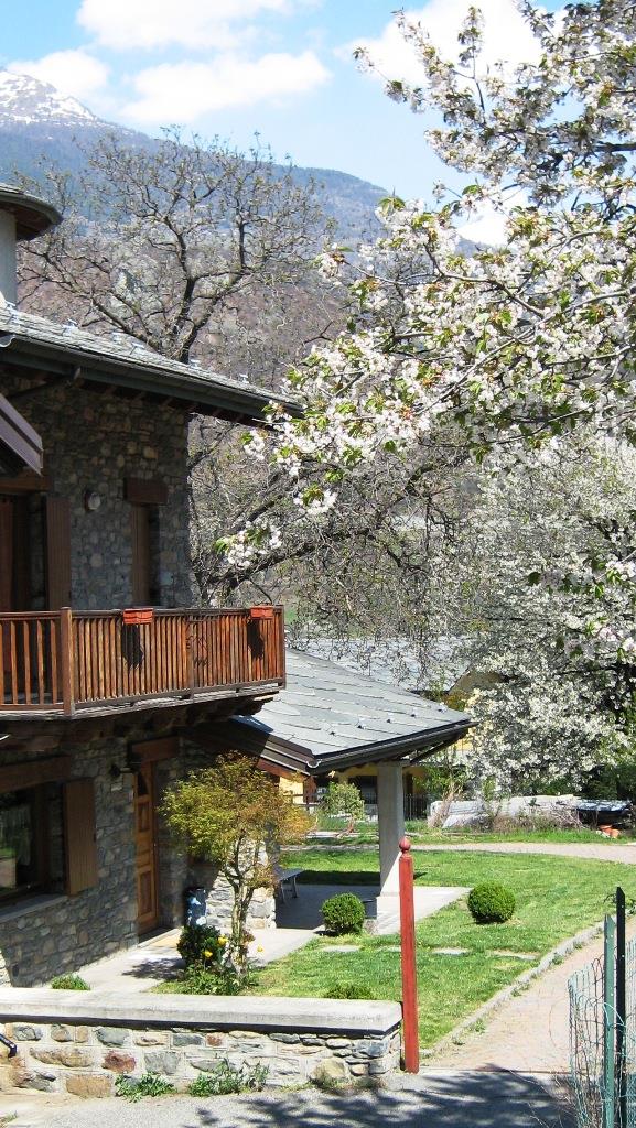 All'ombra del Castello