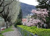 Hotel Westend - Merano