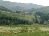 Monferrato Resort - Cereseto Monferrato