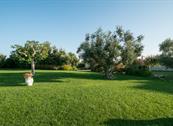 Tenuta Odegitria - Martina Franca
