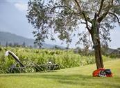 Agritur la Cort - Arco