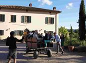 Fattoria Isola - Pergine Valdarno