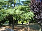 B&B Timeout - Polverigi