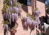 B&B Timeout - Polverigi