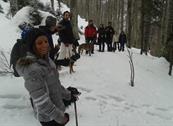 Baita Sagron Mis.Dolomiti - Sagron Mis