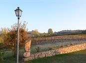 Monferrato Resort - Cereseto Monferrato
