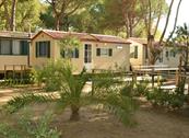 Giannella Camping  - Orbetello