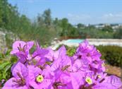 L'Antica Marina - Martina Franca