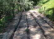 Vecchia Fornace Paradiso - Santa Vittoria in Matenano