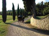 Fattoria Isola - Pergine Valdarno