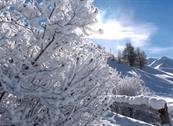 Hotel Garni Francesin - Livigno