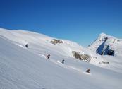 Les Fleurs Bleues - Livigno