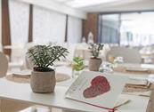 Hotel Quisisana Terme - Abano Terme