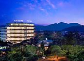 Hotel Tritone Terme - Abano Terme