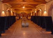 Tenuta Montemagno - Montemagno