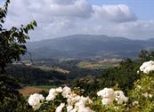 Bed and Breakfast Mugello - Vicchio