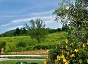 Monferrato Resort - Cereseto Monferrato