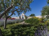 Tenuta Odegitria - Martina Franca