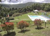 Agriturismo La Coccinella - Cortona