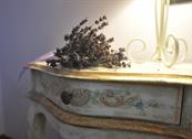 Hotel Albachiara - Viareggio