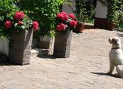 Hotel Ristorante Sole - Muggia