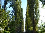 Agriturismo Cascina Verne - Carmagnola