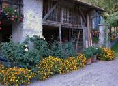 Green Holiday - Appartamenti per Vacanza - Ledro