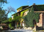 Azienda Agricola Rendola Riding - Montevarchi