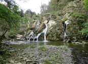 Fattoria Isola - Pergine Valdarno