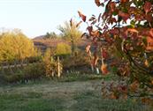 Monferrato Resort - Cereseto Monferrato