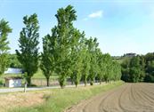Monferrato Resort - Cereseto Monferrato