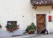 Green Holiday - Appartamenti per Vacanza - Ledro