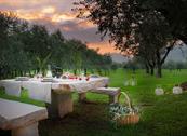 Olea Dei Holiday Apartments - San Felice del Benaco