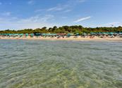 Camping Maremma Sans Souci - Castiglione della Pescaia