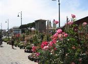 ALBERGO LADY MARY - Milano Marittima