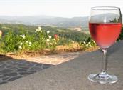 Bed and Breakfast Mugello - Vicchio