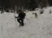 Baita Sagron Mis.Dolomiti - Sagron Mis