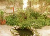 Antonietta B&B - Giovinazzo