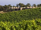 Tenuta delle Ripalte - Capoliveri