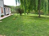 La Tenuta Del Conte - Fermo