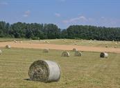 Bed and Breakfast Mugello - Vicchio
