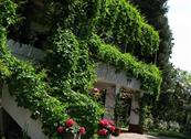 Hotel Ristorante Sole - Muggia