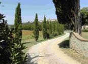 Fattoria Isola - Pergine Valdarno