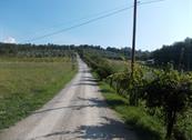 Agriturismo Corzano - Barberino di Mugello