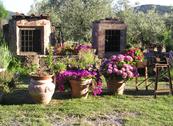Agriturismo I Pitti - Serravalle Pistoiese