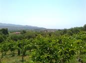Agriturismo Zio Cristoforo - Casalvelino