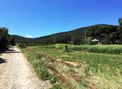 Elbadoc Camping Village - Rio Nell'Elba